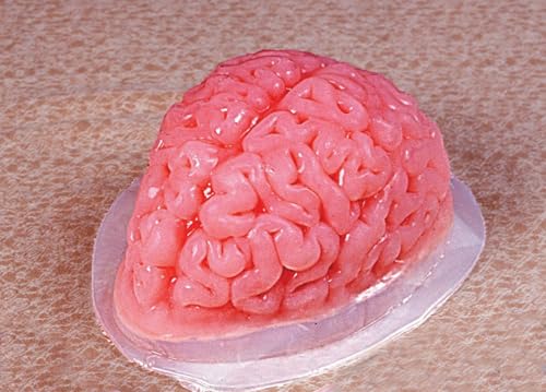Plastic Brain Jello Mold