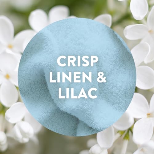 Air Wick |Crisp Linen & Lilac |Plug in Air Freshener Refill |19ml| Pack of 6