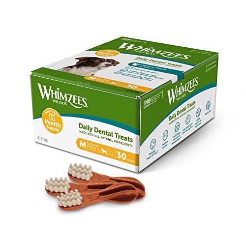 WHIMZEES By Wellness Toothbrush, Month Box, Natural and Grain-Free Dog Chews, Dog Dental Sticks for Medium Breeds, 30 Pieces (One Month Supply), Size M