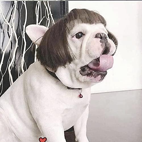 TESSVEYA Funny Dog Cat Cosplay Wig,Pet Wigs for Halloween, Christmas, Parties, Festivals, Dog Wigs for Small Medium and Large Dogs (Black Brown Straight)