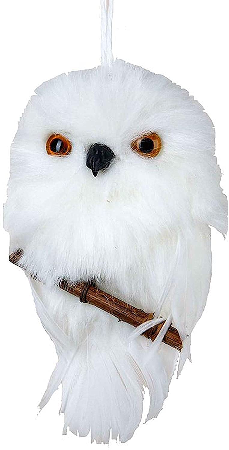 Kurt S. Adler YAMC2220 Hanging Owl Ornament with Branch, White, 3.93"