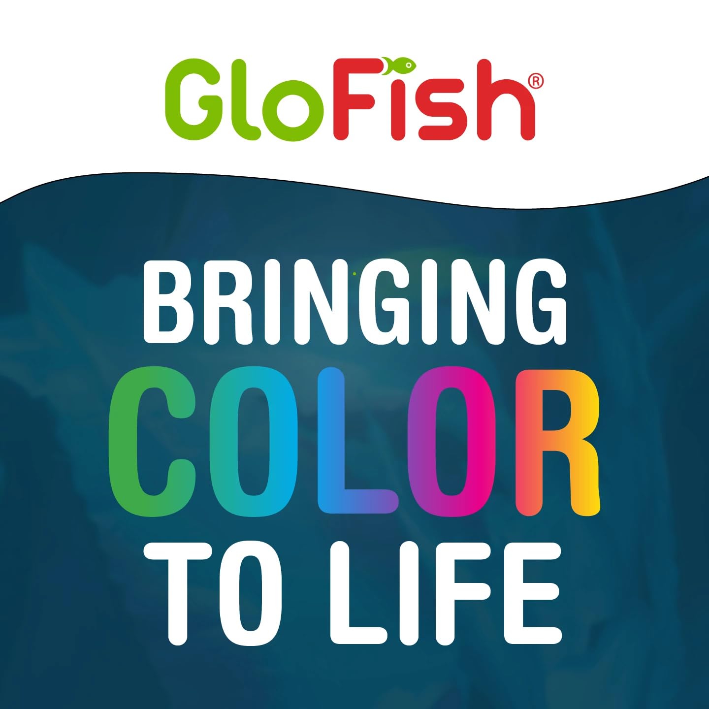 GloFish aquarium Gravel 5 Pounds, White, Complements GloFish Tanks (29022)