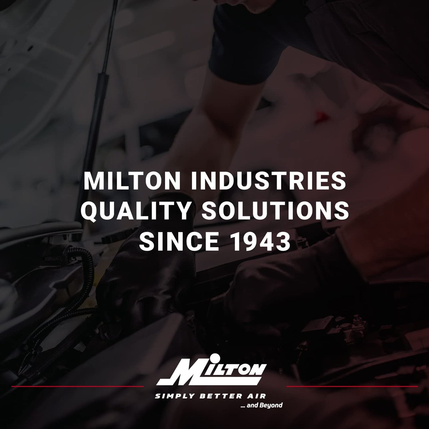 Milton 1072 1/2" Deluxe Desiccant Dryer System