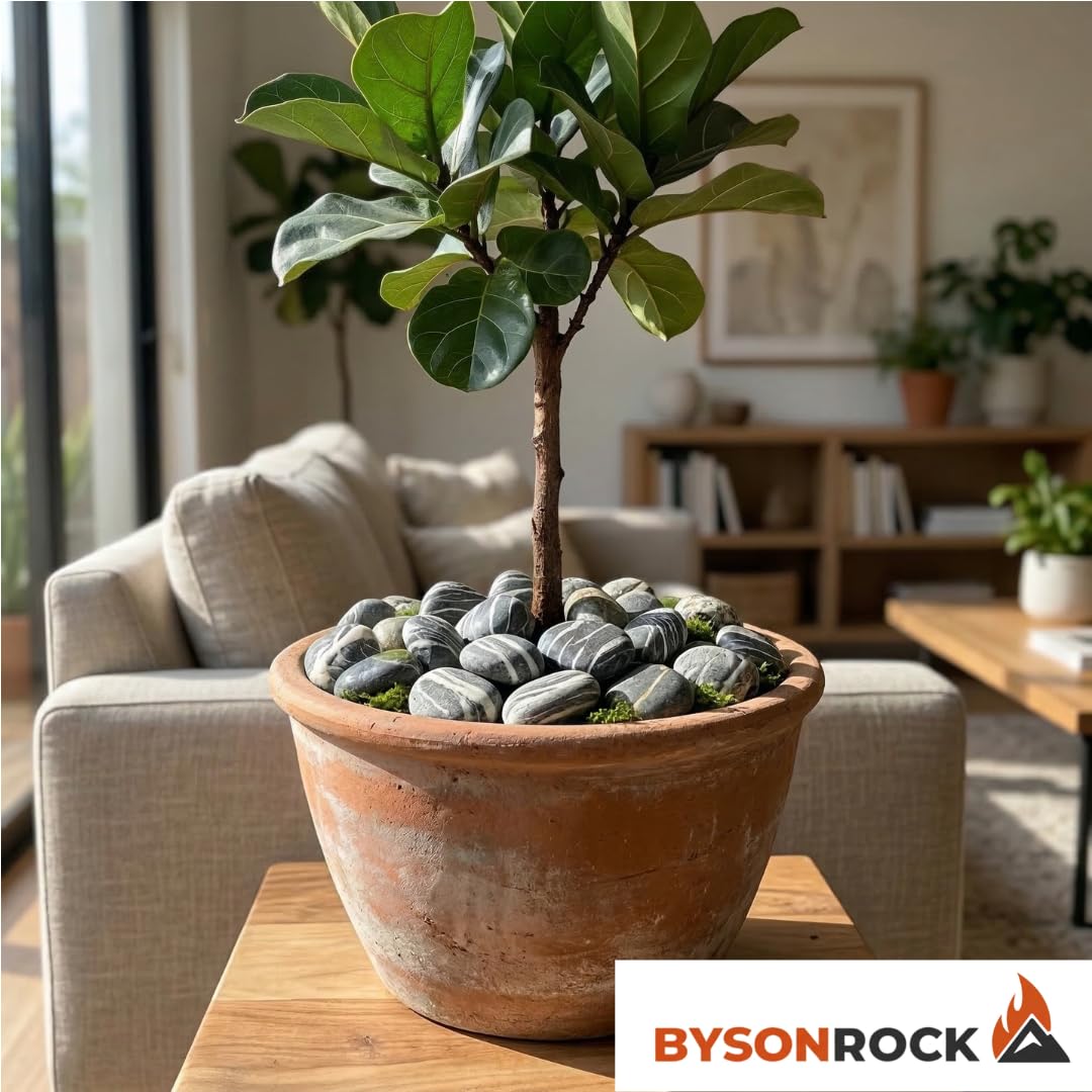BYSONROCK Natural Gray with White Lines River Rocks, 2–4 Inch, 10 lbs Decorative Landscaping Stones for Garden, Planters, Pathways, Aquariums & Painting