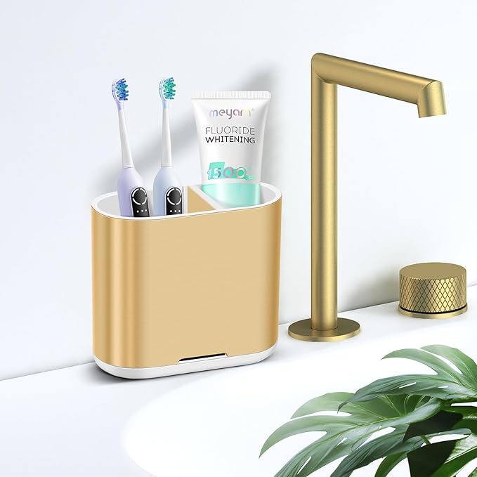 Chintu Toothbrush and Toothpaste Holder