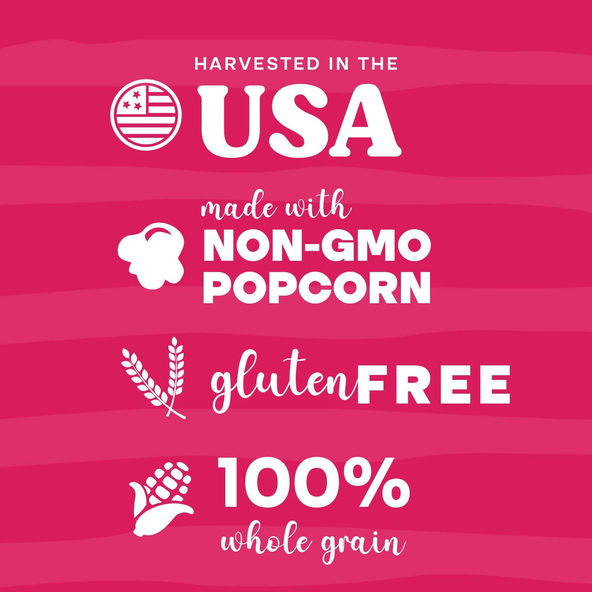 Mothers Day Gifts Movie Night Popcorn Gift Set, Mothers Day Gifts For Wife, 10 Piece Set, 5 Gourmet Popcorn Kernels and 5 Popcorn Seasoning Flavoring, Kosher, Non-GMO Movie Night Gift Baskets Gift Idea For Mom, Wife, Daughter