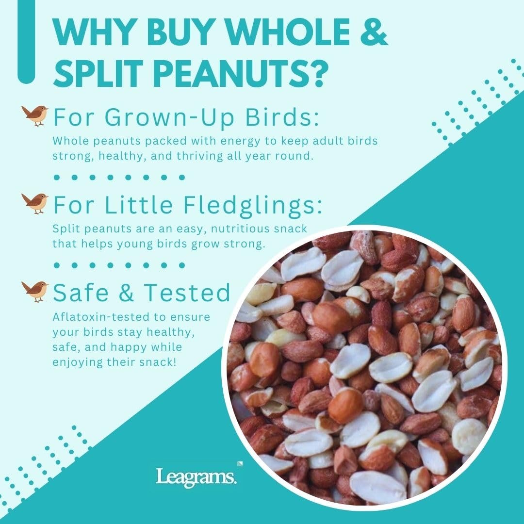 Leagrams Value Whole & Split Peanuts for Wild Birds (12.55kg)