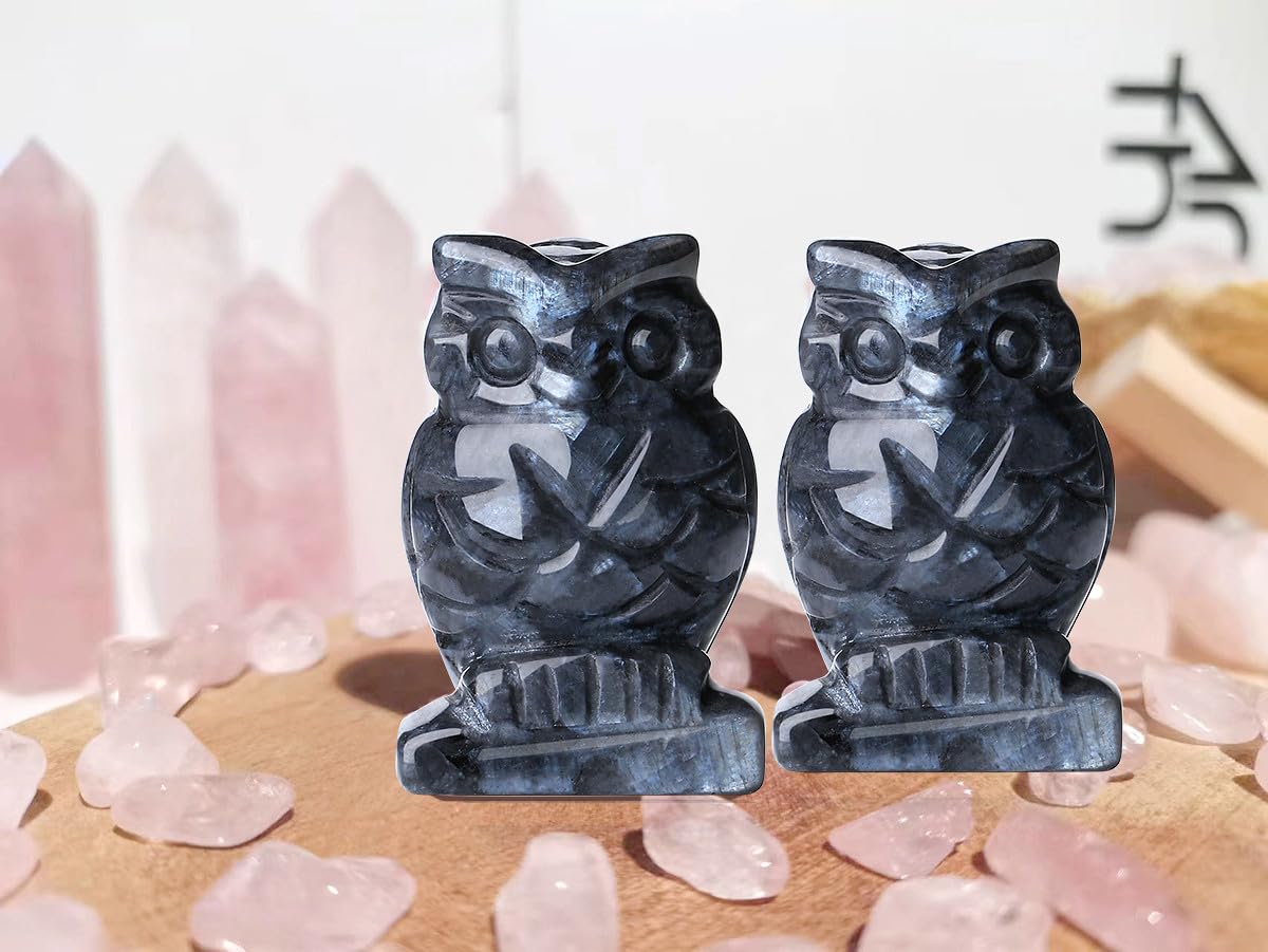 QINJIEJIE 2" Black Labradorite Crystals Owl Decor Stone Figurines Owls Statue Gifts Gemstone Home Sculpture Decorations Pocket Polished Cute Room Desk Gift for Men Women
