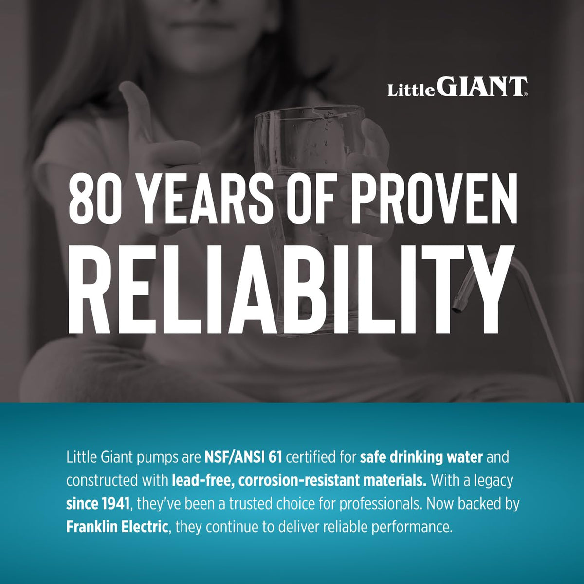 Little Giant WE20G05P4-21 115 Volt, 1/2 HP, 1560 GPH High Head Filtered Effluent/Aeration/Commercial Fountain Pump, Steel, 558223