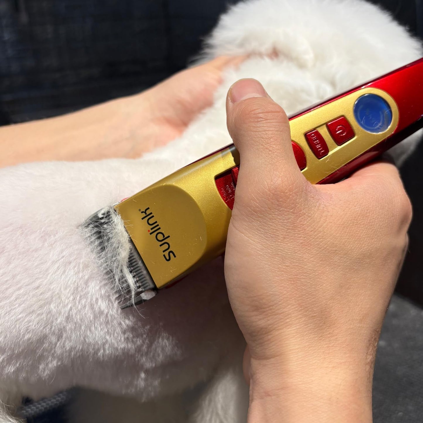Dog Clippers for Grooming Thick Heavy Coats, Professional 2-Speed Pet Hair Trimmers, Cordless Rechargeable Dog Grooming Kit with 4 Interchangeable Stainless Steel Blades (1/3/6/9mm), Low Noise Shaver