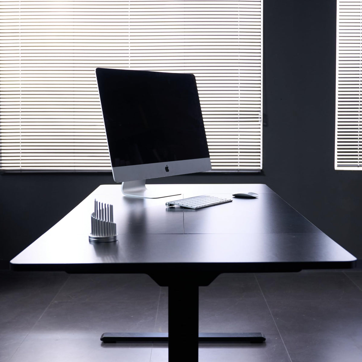 FLEXISPOT 79"x32" Large Dual Motor Electric Standing Desk, Black - 198 LBS Heavy-Duty Capacity, Ideal for Home Office, Creative Studio, or Multi-Monitor Setup