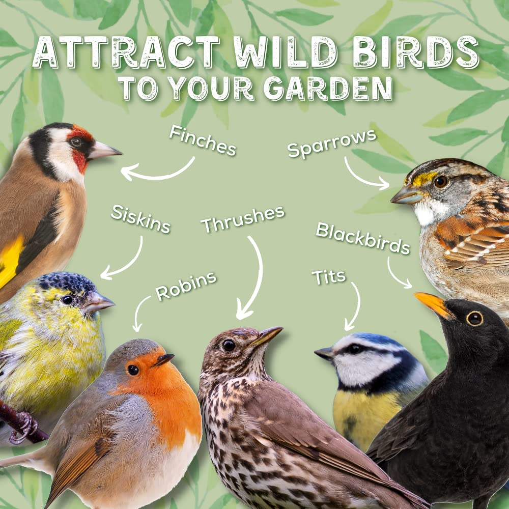 Copdock Mill Wild Bird Seed 12.75kg, Signature Collection Wild Attraction – All Year-Round Bird Food – 100% Natural Ingredients with Peanuts for Wild Bird – Suitable for All Wild Bird Species
