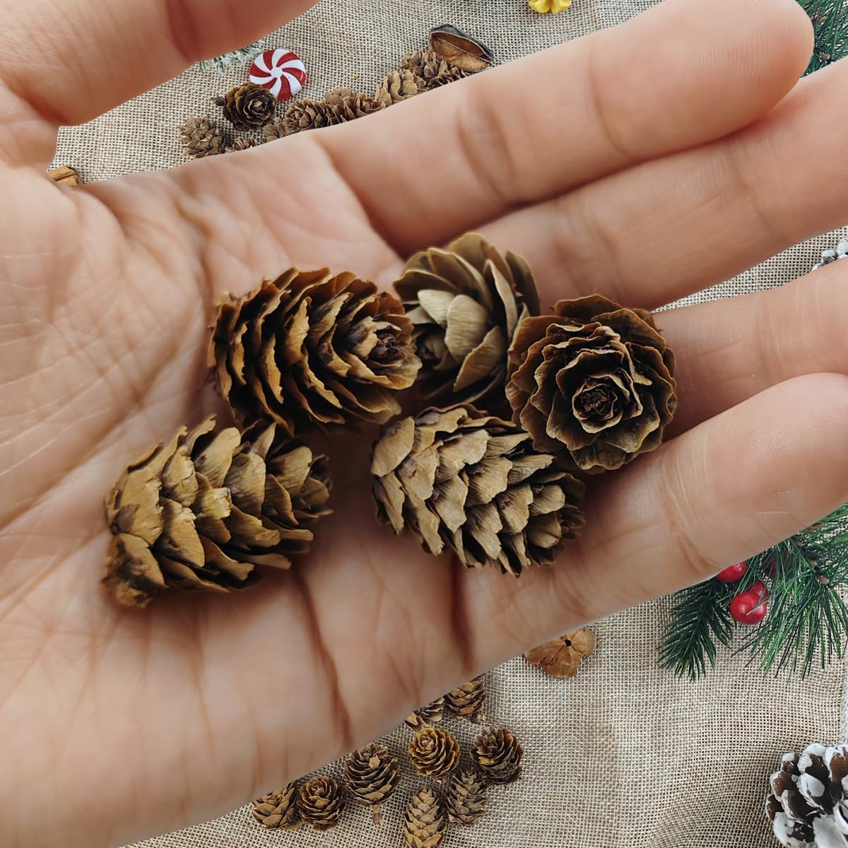 TIHOOD 160PCS 1.18"-1.97" Christmas Natural Mini Pine Cones-Thanksgiving Pine Cones Ornaments for DIY Crafts, Home Decorations,Fall and Christmas,Wedding Decor