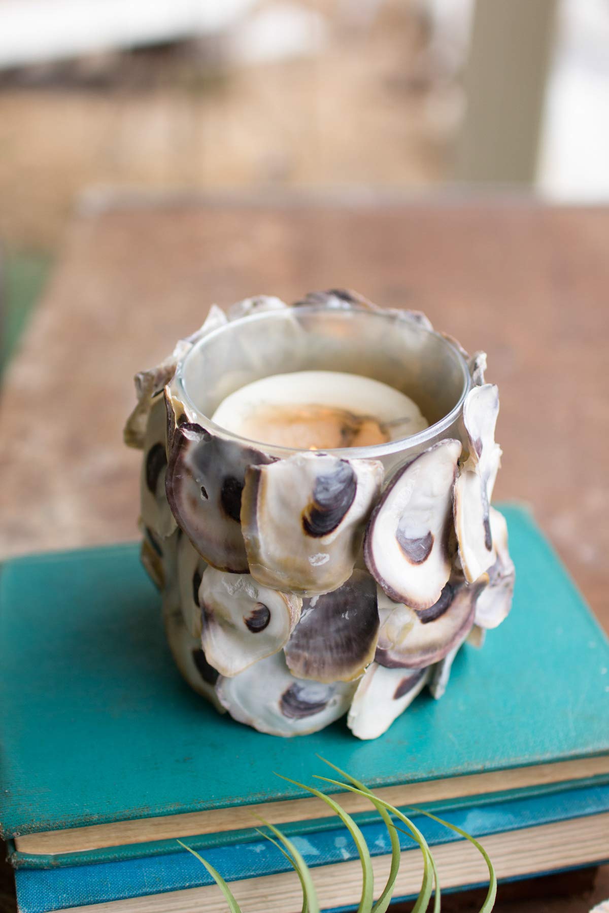Kalalou Oyster Shell Round Candle Holder, One Size, Off-White