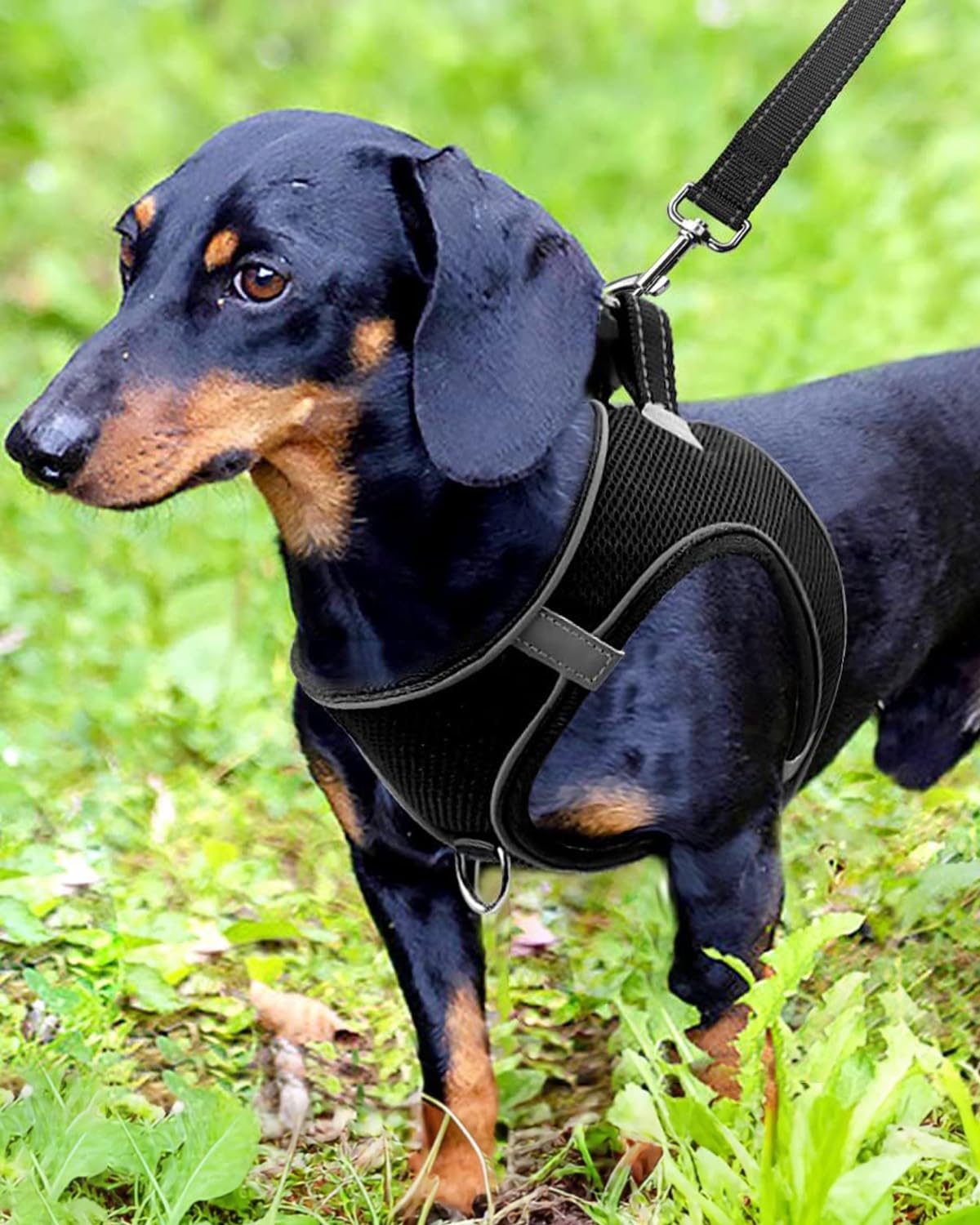 Joytale Step in Dog Harness, Soft Mesh Reflective Breathable Vest Harnesses, Easy Walk Harness with Safety Buckle for Small and Medium Dogs, M, Black