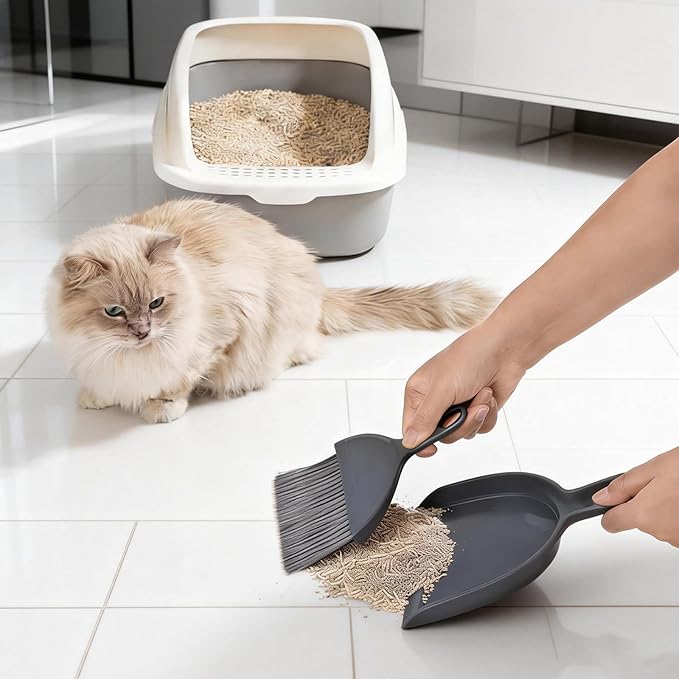 THINKLEARN 2PCS Small Dust Pan and Brush Set, Mini Broom and Dustpan Set
