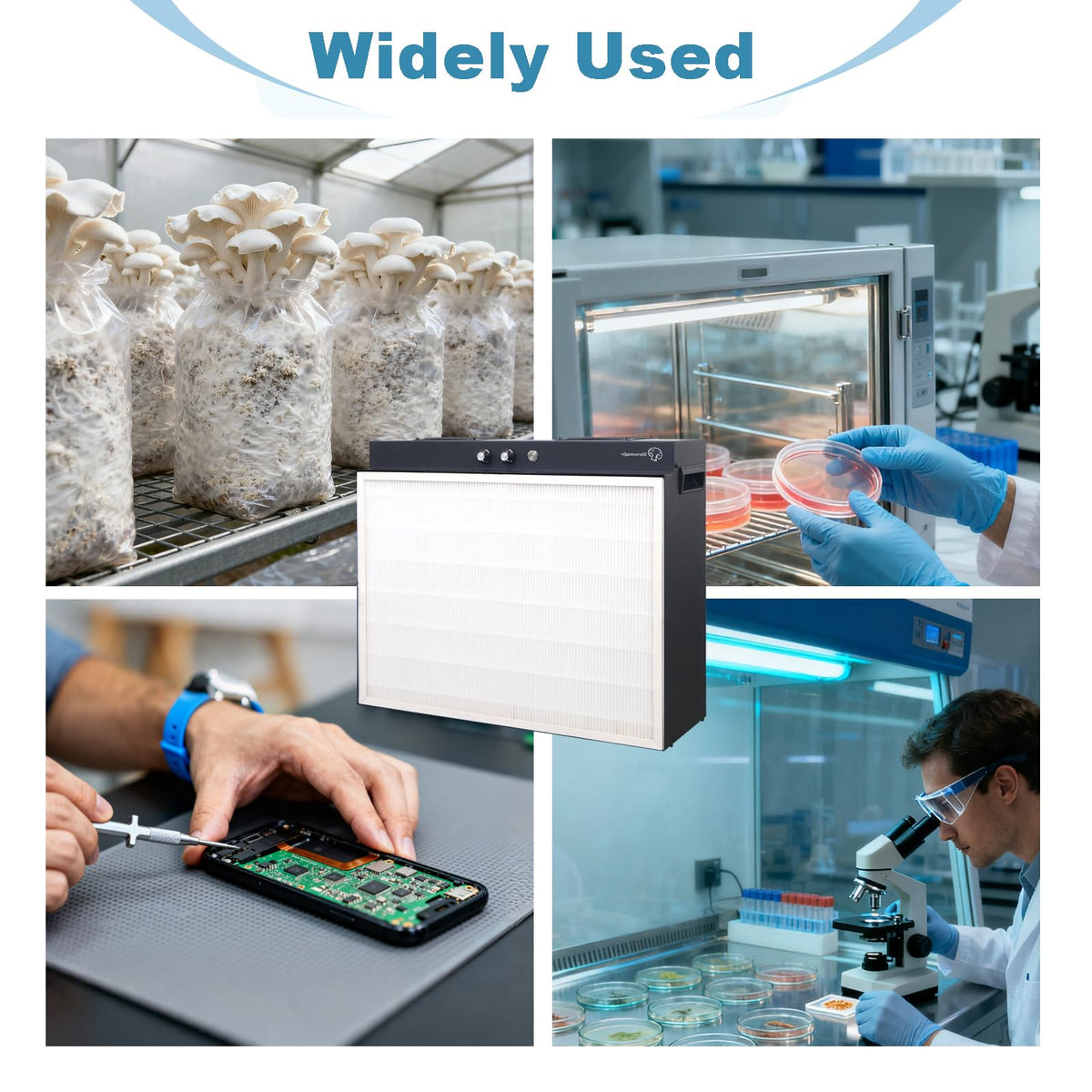 Laminar Flow Hood with H13 HEPA Filter (20"x15"), Class 100 / ISO 5 Clean Bench with Light for Mycology, Mushroom Cultivation, Lab & Cleanroom, 24V DC with 100–240V Adapter