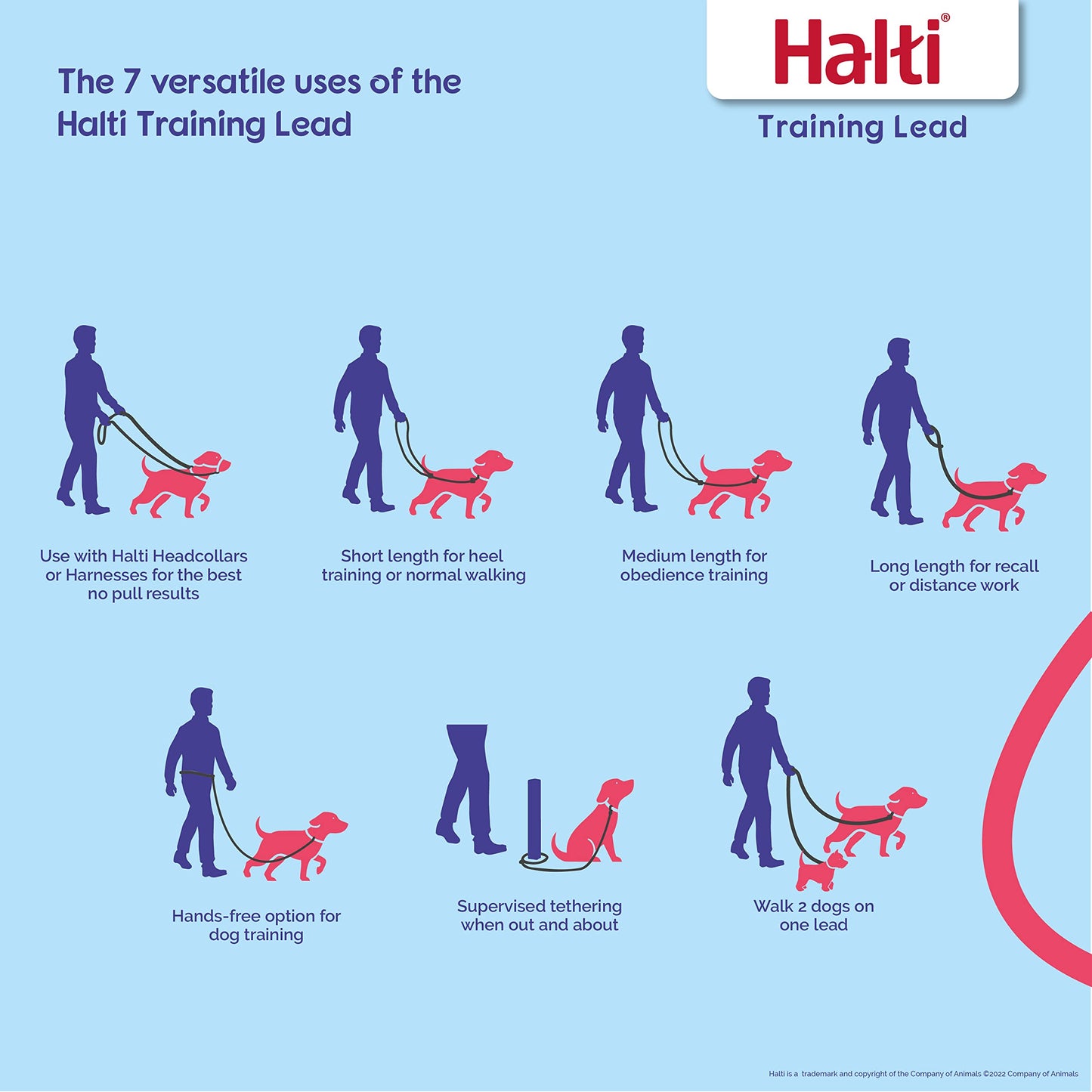 Halti Training Lead For Dogs, Double Ended Dog Training Lead for Halti Head Collar and No Pull Harness, Black Training Lead for Medium Dogs and Large Dogs, 14320B