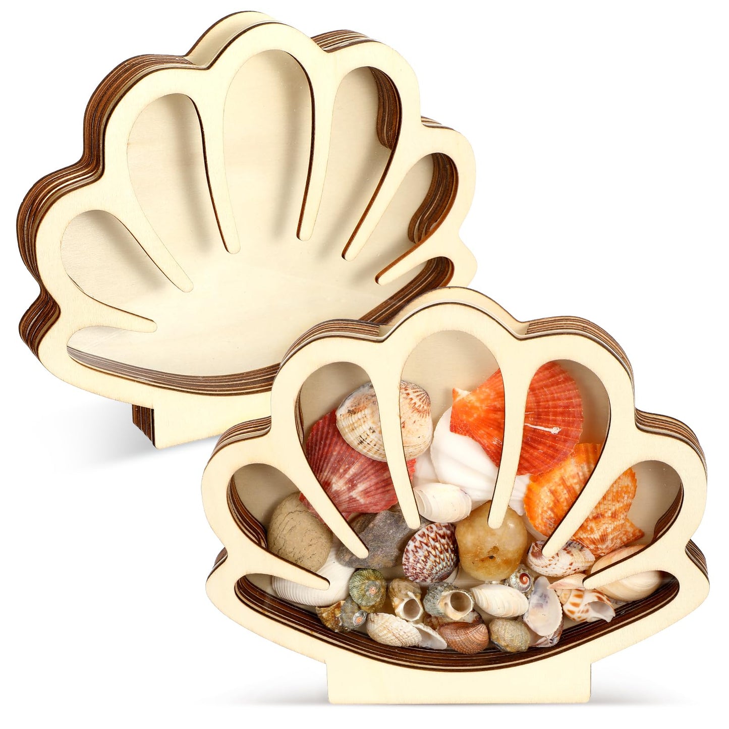 Ckhoid 2PCS Sea Shell Holder, Wooden Seashell Display Case with Clear Window, Small Shadow Storage Box for Shells Starfish Shark Tooth Keepsake, Coastal Beach Room Collection Container Decor Gift