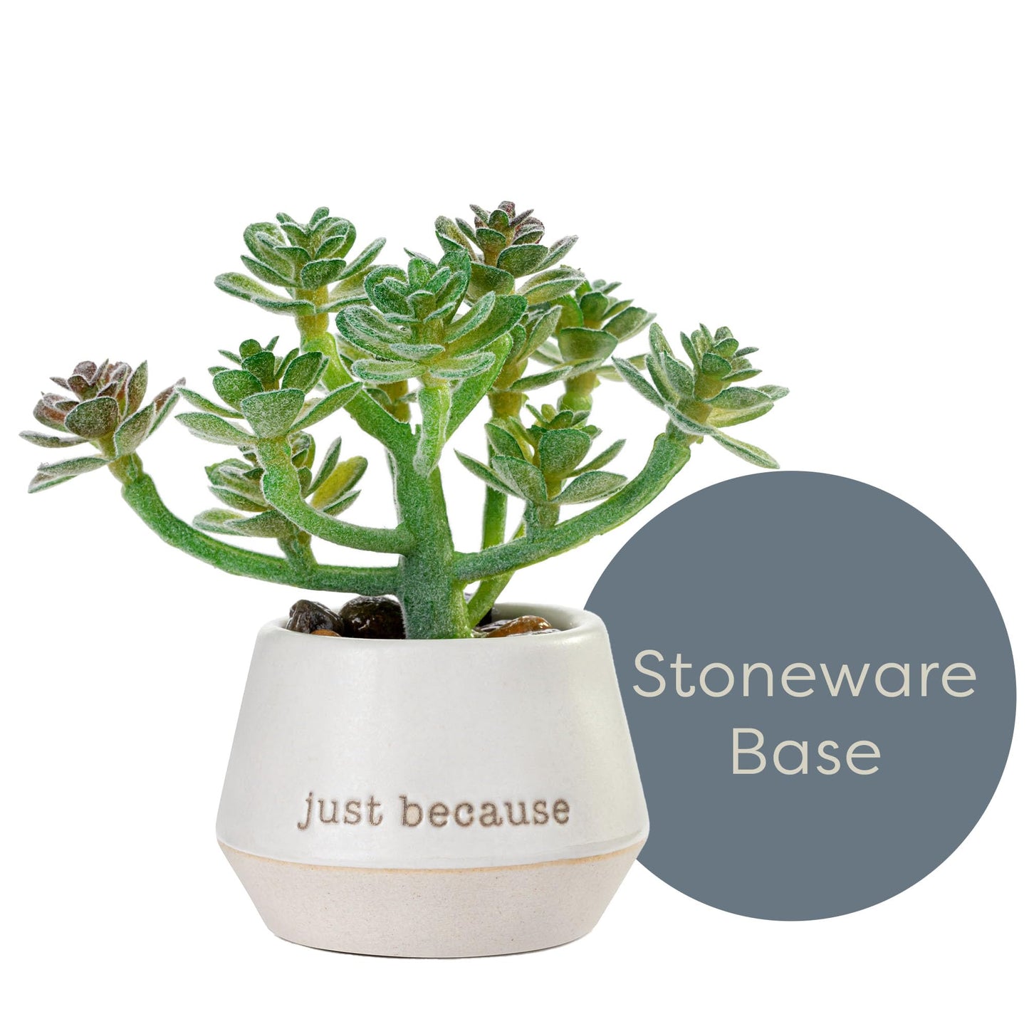 DEMDACO Loved Just Because Artificial White 2 x 1.5 Stoneware Mini Succulent