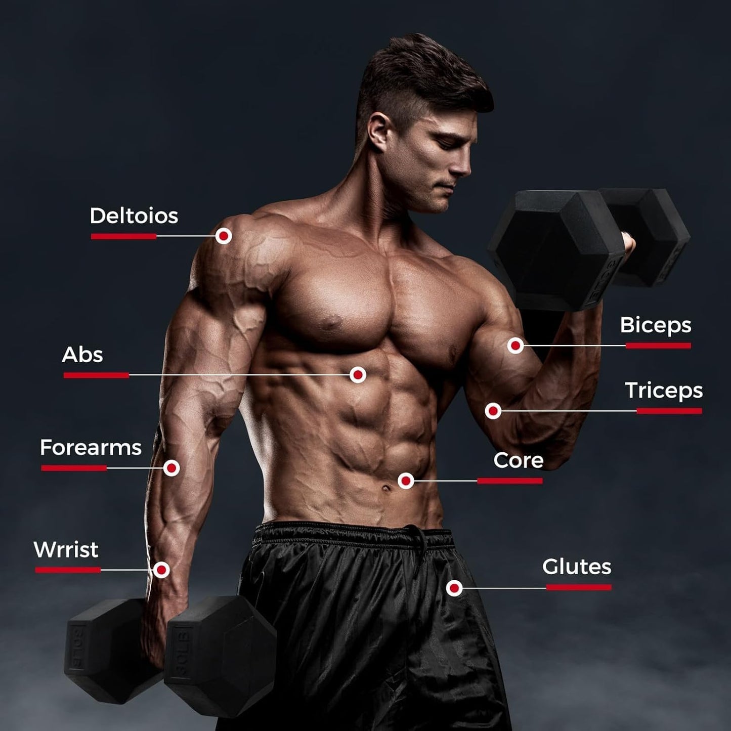 RitFit 780LBS (5-60LB) Rubber Coated Hex Dumbbell Weight Set with Rack for Home Gym, Strength Training, Workouts