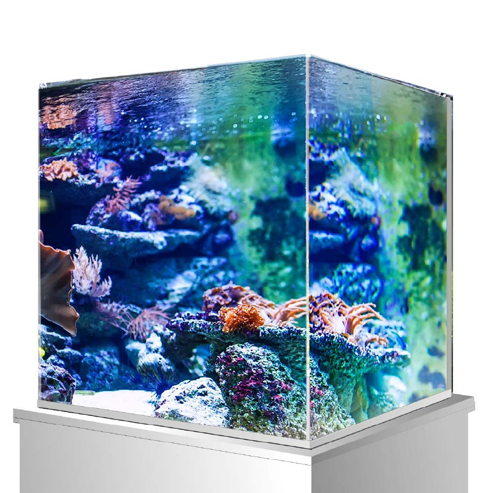 Amtra Nanoscaping - Aquarium Tank 15 Liters - Extra Clear Glass Case 25x25x25 cm - Tank for Goldfish or as a Turtle Tank for Water Turtles with Shock Absorbing Mat Included