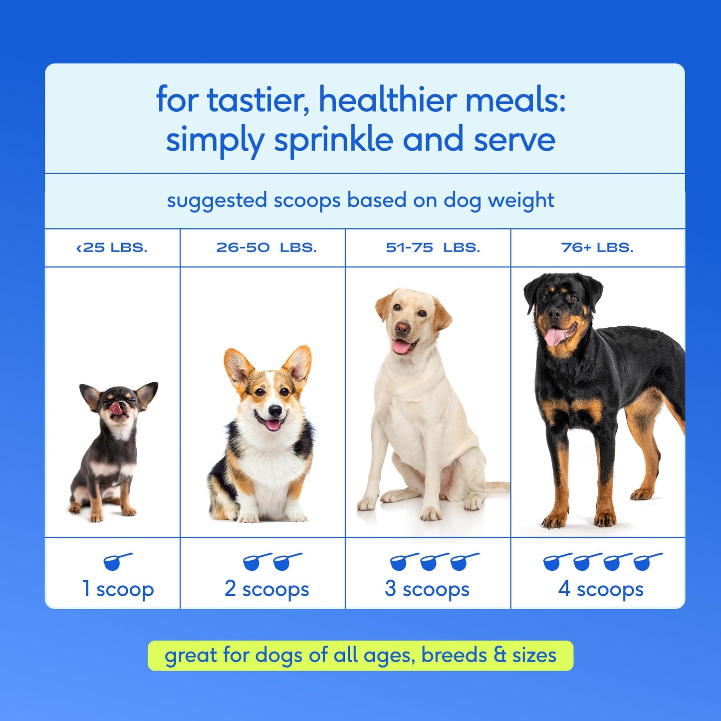 Native Pet The Daily Dog Vitamins & Supplements - 11-in-1 Multivitamin Powder for Dogs - Supports Whole Body Health, Digestion, Mobility & Immunity with Collagen, Glucosamine & Probiotics – 60 Scoops