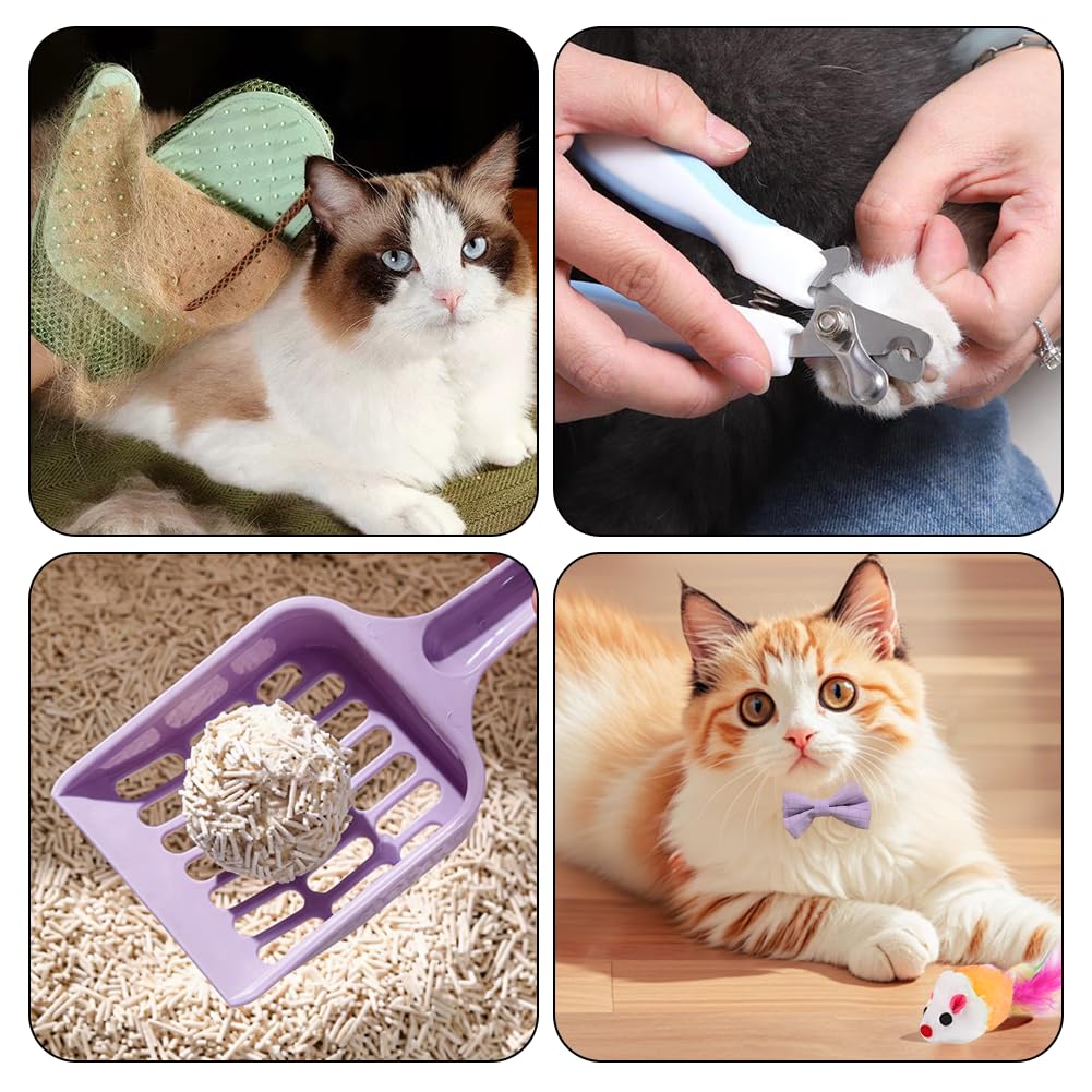 Kitten Starter Kit - 16 Pcs Cat Essentials Set Includes Litter Box, Toys, Collars, Scratch Pad, Nail File, Automatic Feed Bowls, Grooming Gloves (Purple, 16 Pcs)