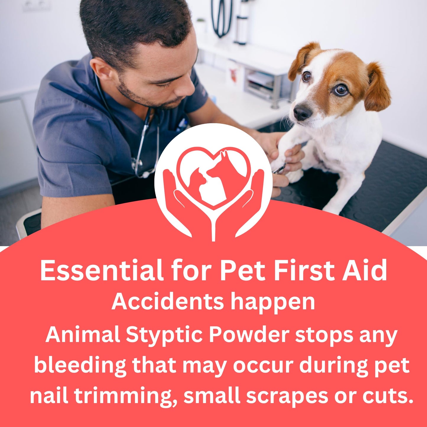 Pet Grooming & Care Kit with Styptic Powder – Dog & Cat Bath Brush, Finger Toothbrush Set, 1oz Pet Nail Stop Bleeding Powder – Complete At-Home Grooming Bundle (5, Multicolor)