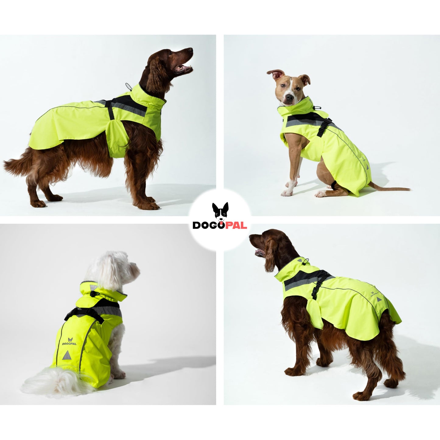 DOGOPAL Dog Raincoat - Waterproof, Lightweight Dog Rain Coat for Small, Medium, and Large Dogs with High Visibility Reflective Straps and Harness Hole (Yellow, M)