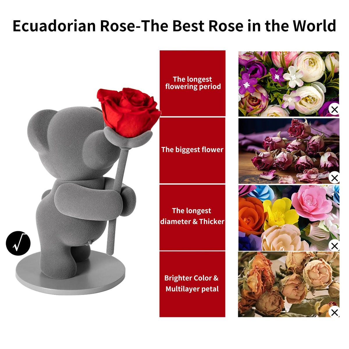 JoyFlower Preserved Flowers with Cute Teddy Bear, Eternal Real Rose Romantic Gift with Elegant Gift Box for Girlfriend Wife Her in Valentine's Day, Birthday, Christmas, Weddings, Anniversaries
