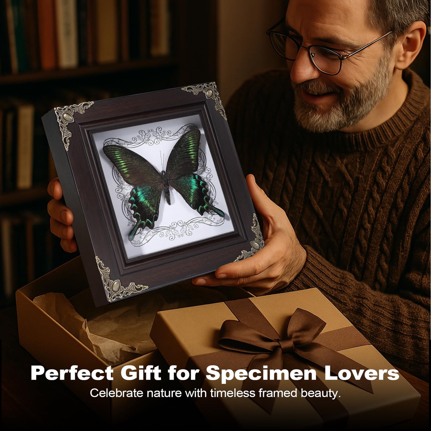 Real Butterfly Framed Home Decor,Taxidermy Shadow Box for Goth Dark Academia Wall Art Decor,Gothic Furniture Gifts for Victorian Whimsigoth Fantasy Moody Witchy Room Bedroom Decor