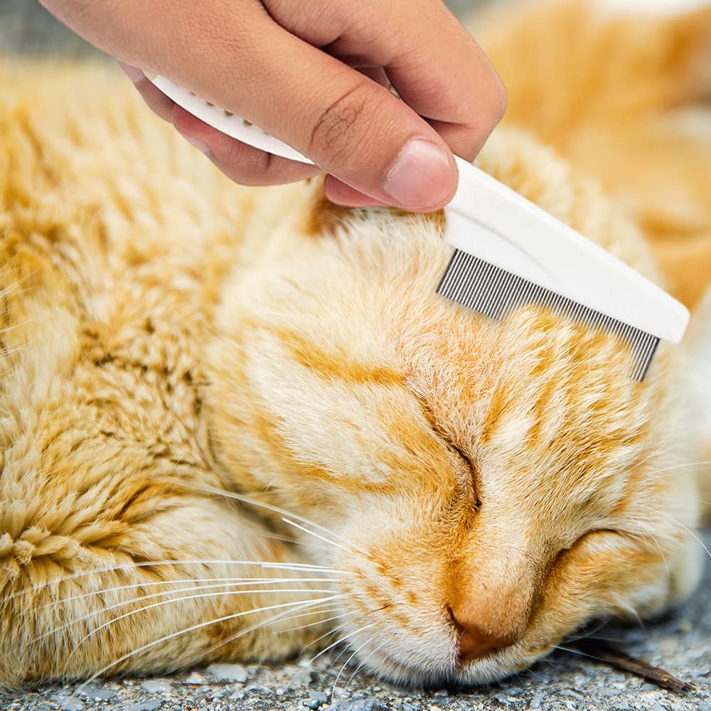 Dog Comb 2 Pack, 2026 New Professional Pet Eye Comb and Grooming Comb Set, Stainless Steel Fine Tooth Tear Stain Remover for Cats and Dogs, Pet Comb for Tangles Knots Loose Fur