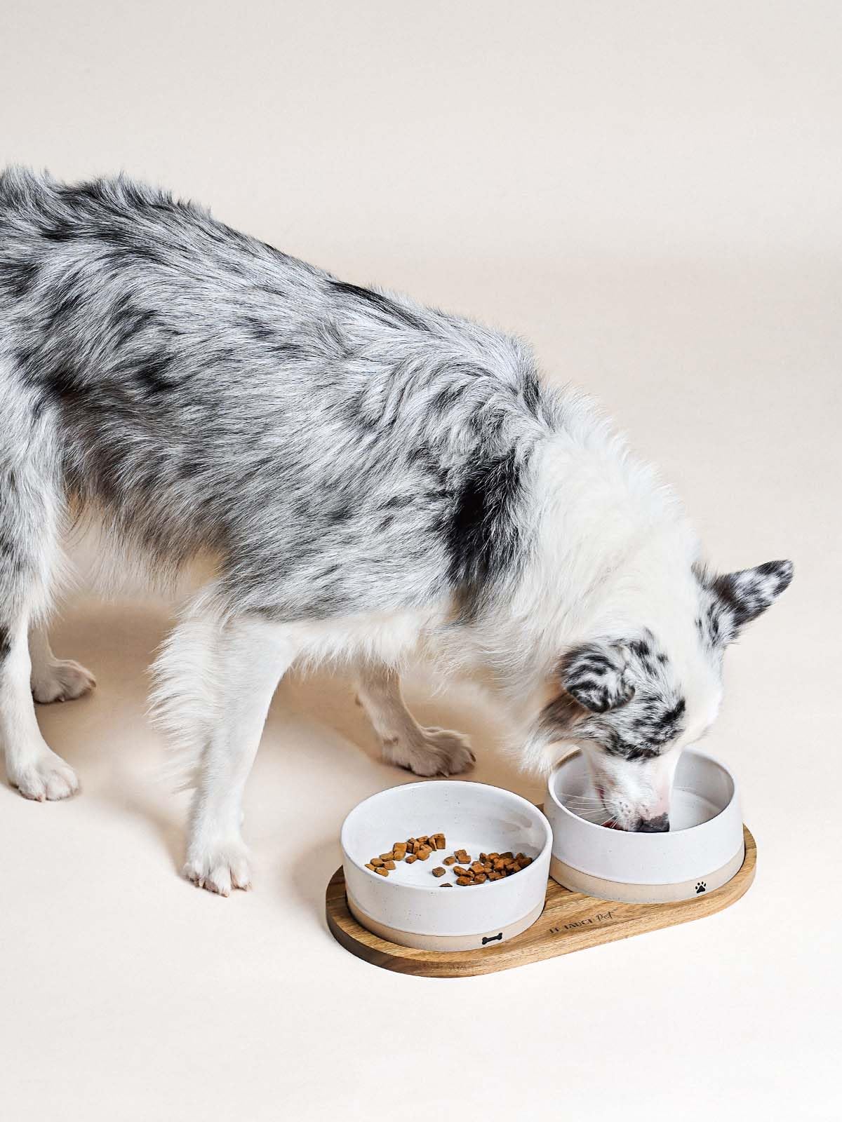 LE TAUCI PET Ceramic Dog Bowls for Medium and Small Dogs - 3.2 Cup Weighted Non-Slip Food and Water Bowls with Acacia Wood Tray, Pet Bowl Set of 2