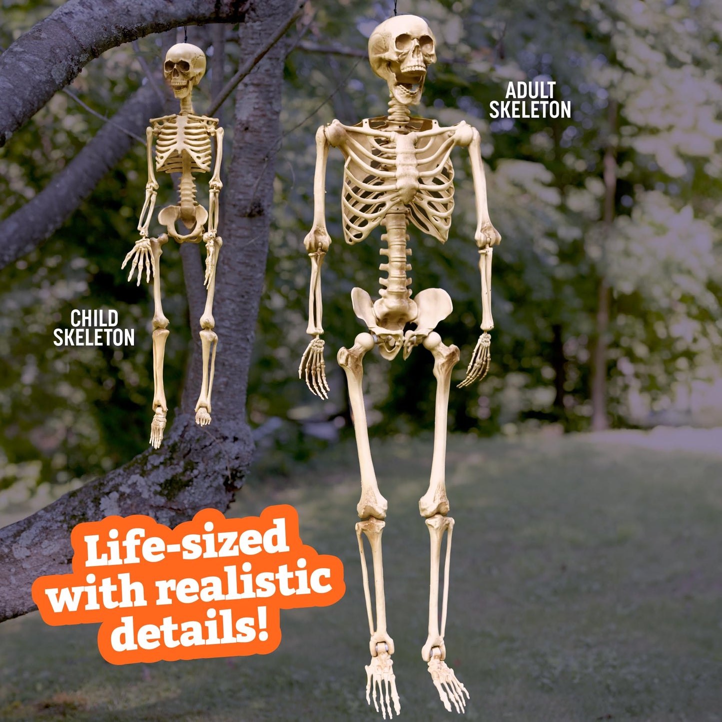 Posable Life Size Human Skeleton Family 4pk- 2 Adult (5'4") & 2 Children (2')- Halloween Prop Indoor Outdoor Decorations w Bending Articulated Bones