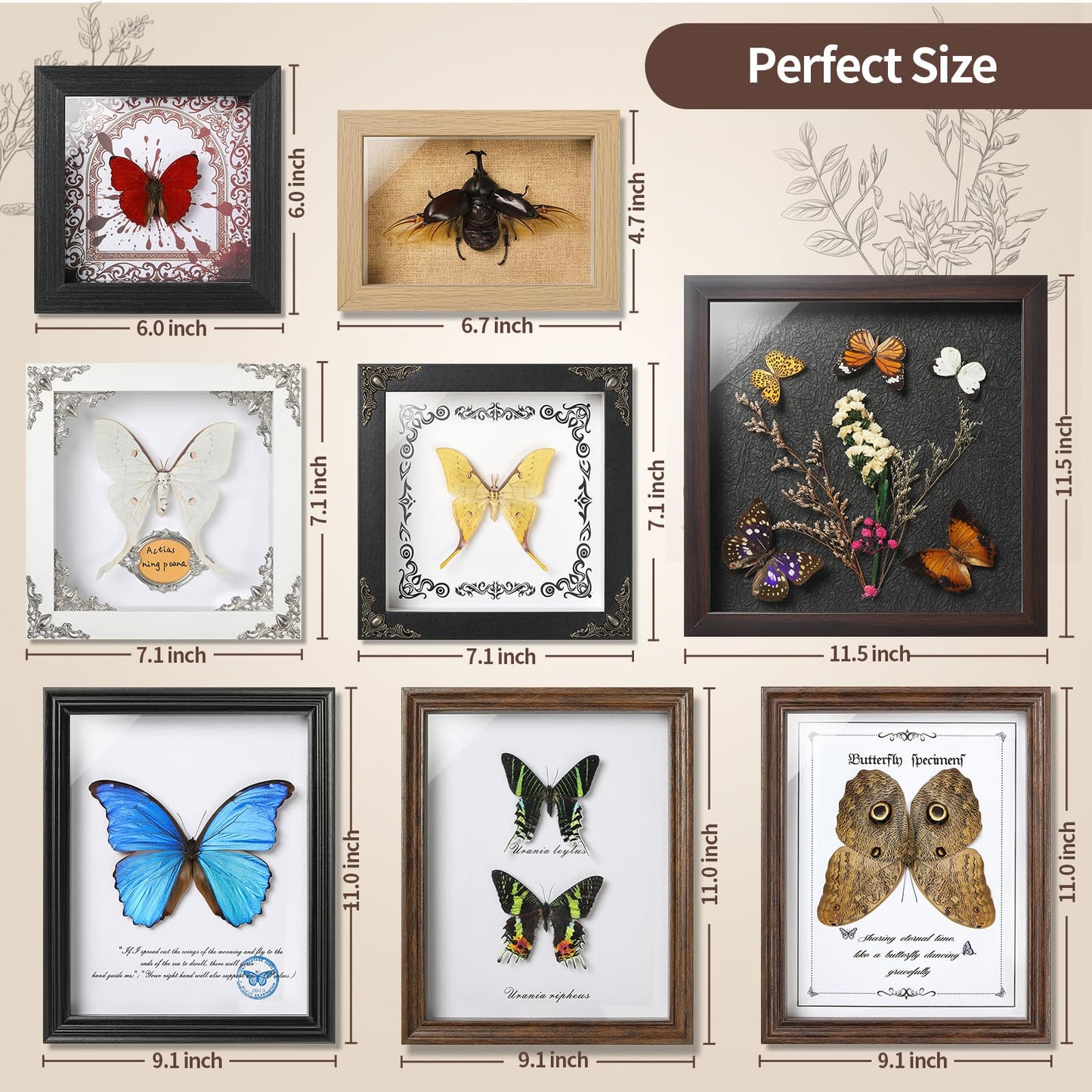 TOHTOFN Real Rhinoceros Beetle (Dynastes) Preserved Framed - 6.7x4.7 Inch Handcrafted Insect Specimen Shadow Box, Gothic Home Decor for Christmas Halloween Birthday Gifts