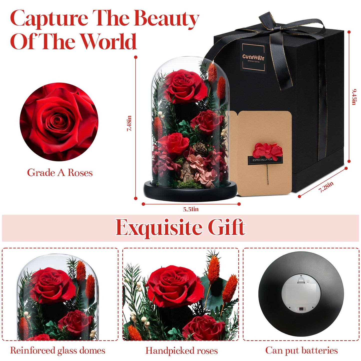 CuteWelt Preserved Roses,Forever Fresh Flowers 7.48in,Gift for Women,Mom,Grandma,Wife,Girlfriend,Sister,and Daughter Perfect for Birthday,Motherโs Day,Valentineโs Day (True Romance1)