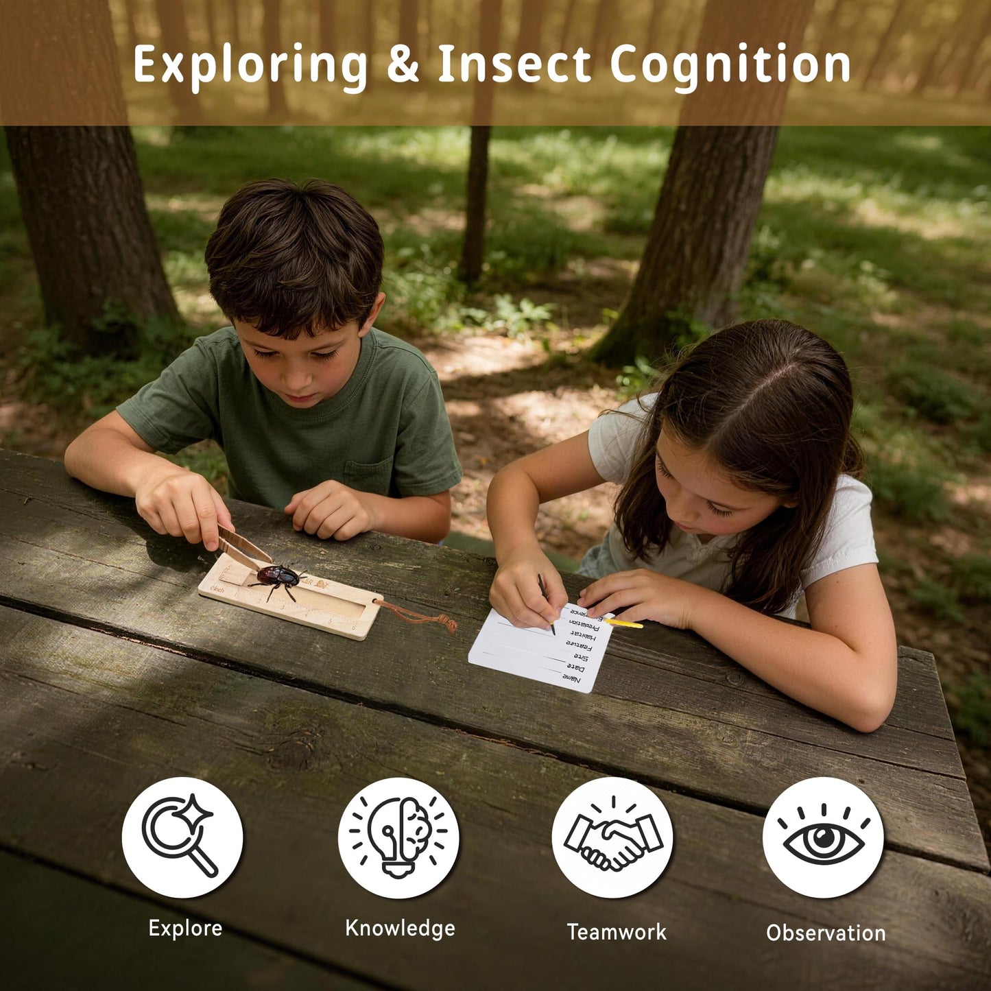 Wooden Bug Catching Kit for Kids - 10 PCS Outdoor Exploration Set with Bug Habitat, Magnifying Glass, Bug Container &Other Adventure Kit —STEM Educational Toy for Boys & Girls Ages 4-8