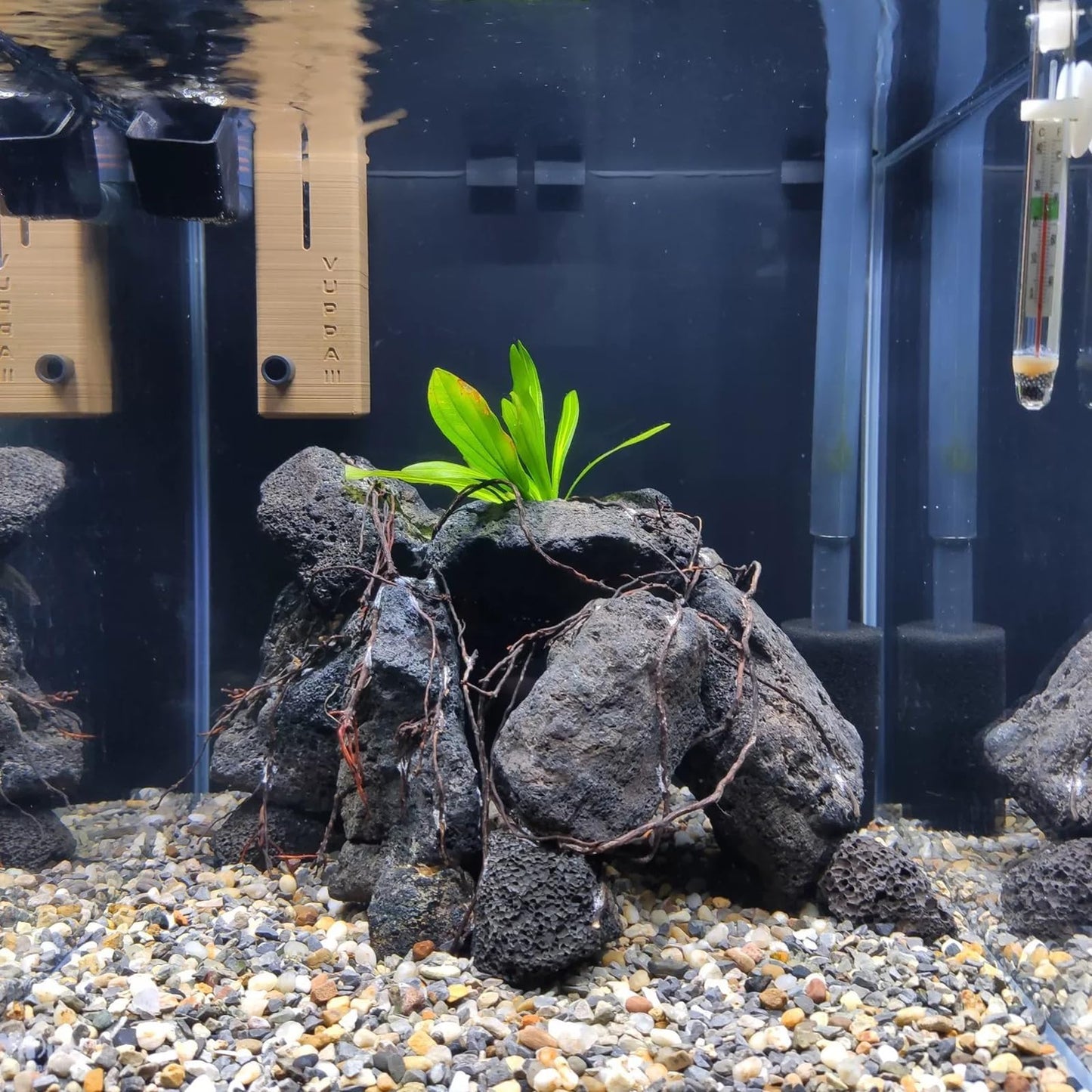 Black Lava Rocks 10lb Natural Volcanic Stones for Aquarium Fish Tank Fire Pit Succulent Planters Bonsai Garden Aquascaping Decor,6-8 Pcs 4-7 inches
