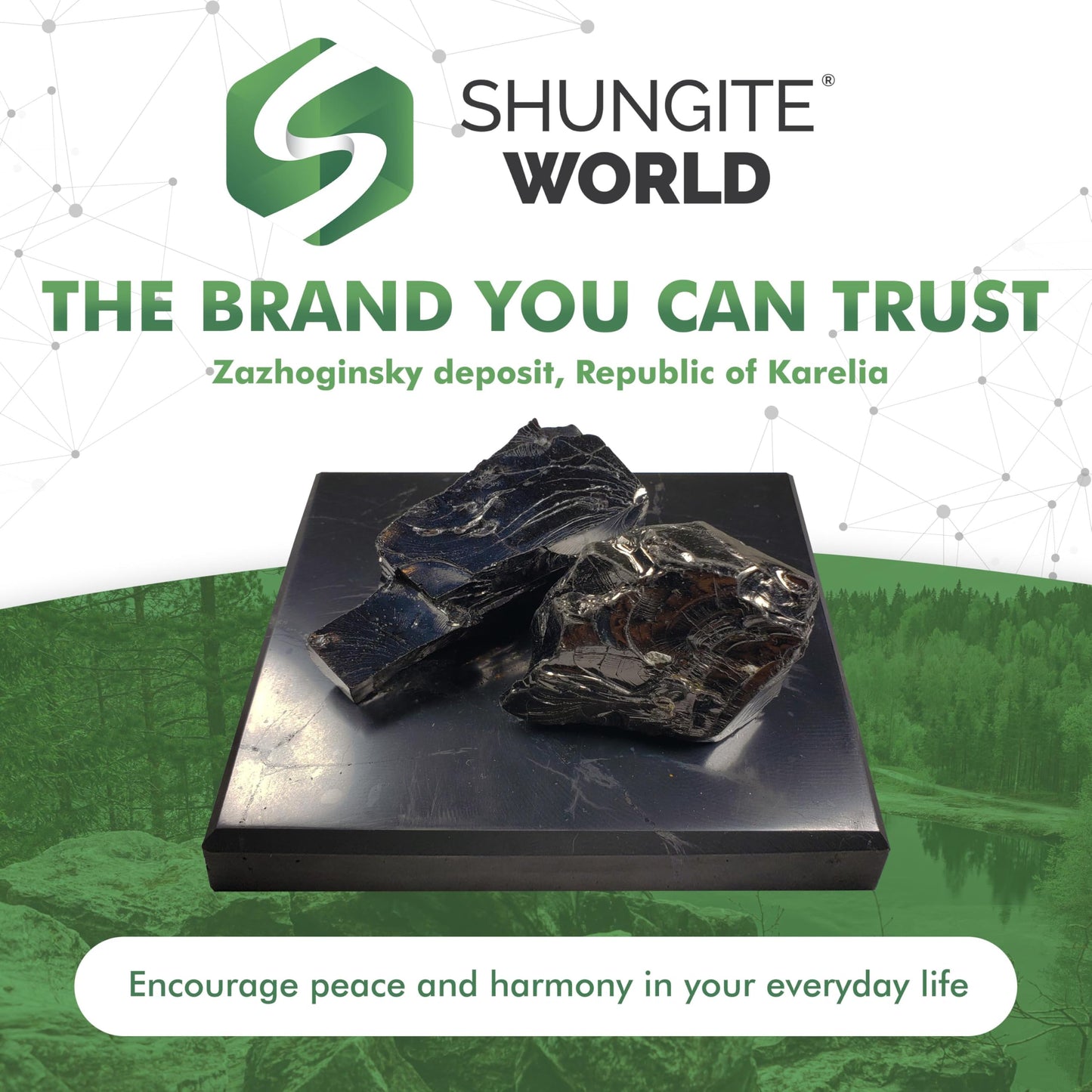 Shungite World Shungite Tile Unpolished 80x100 mm / 3.14"x3.93" from Real Karelian Shungite Stones Shungite Slab Plate Shungite Crystal Charging Plate Mineral Décor Coaster Healing Crystal Plates