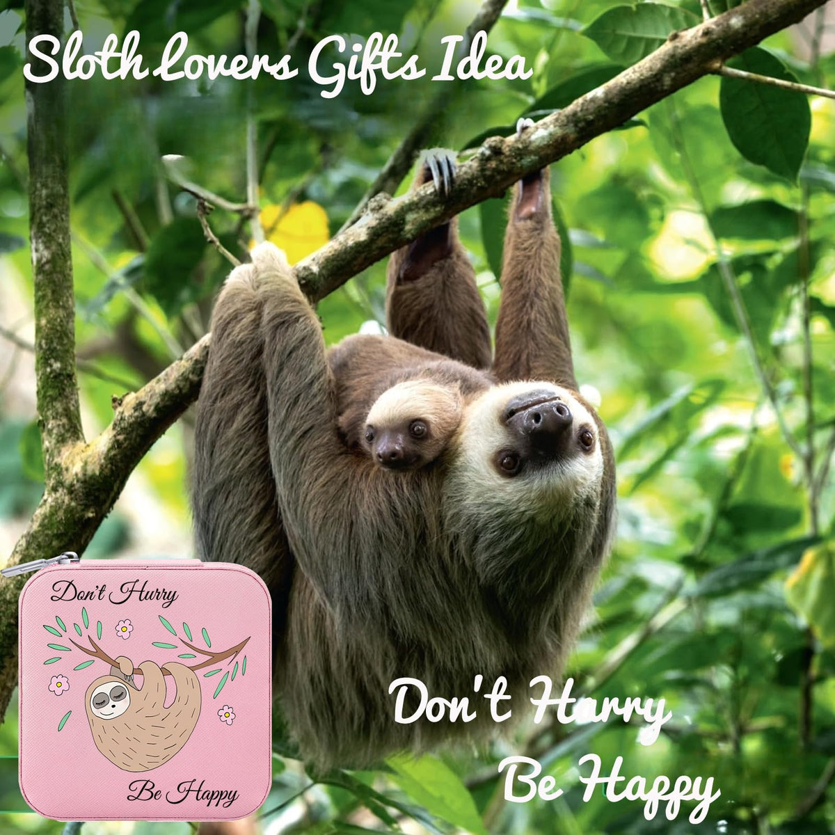 Haoze Sloth Gifts Jewelry Box for Women, Small Travel Jewelry Case Jewelry Holder Organizer Jewelry Box for Lover Gifts(Sloth)