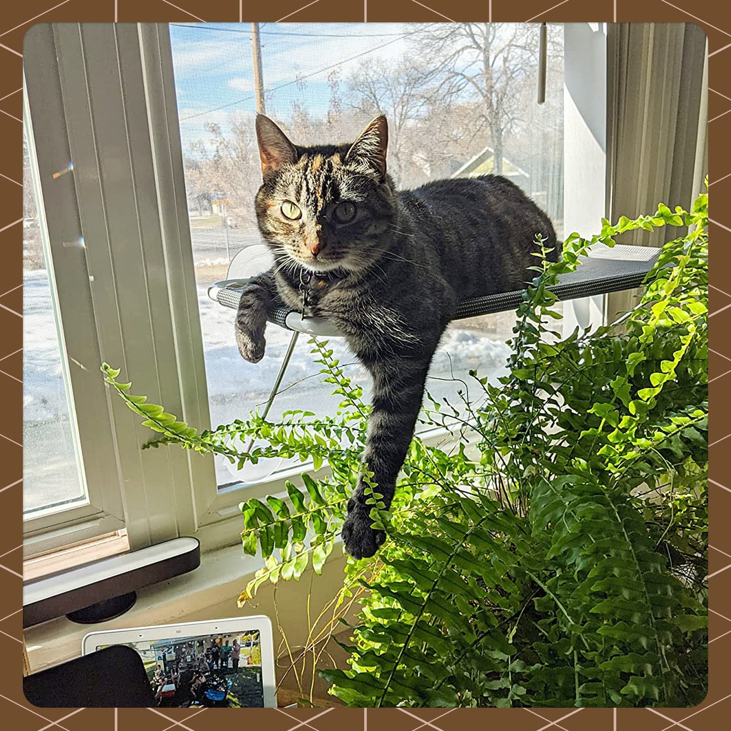 LSAIFATER All Around 360° Sunbath and Lower Support Safety Iron Cat Window Perch, Cat Hammock Window Seat for Any Cats (L, Brown)