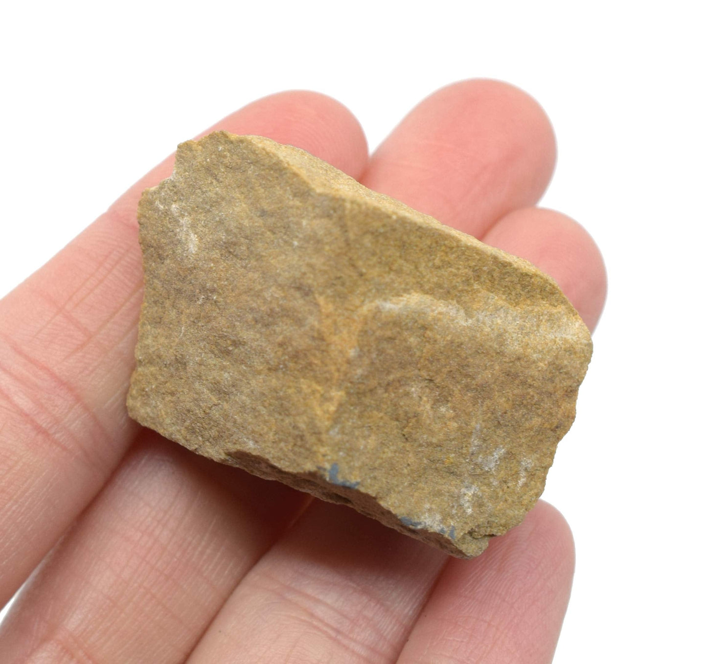 EISCO 6PK Raw White Sandstone, Sedimentary Rock Specimens - Approx. 1" - Geologist Selected & Hand Processed - Great for Science Classrooms - Class Pack