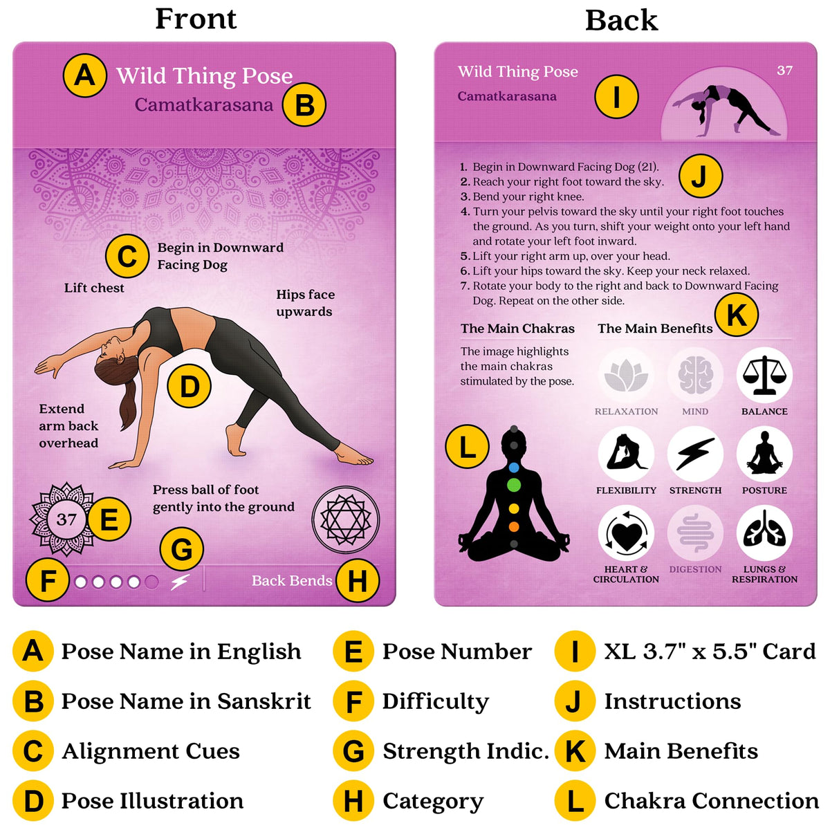 Asana Moon Premium Yoga Cards – Deck with Over 120 Yoga Poses – Yoga Sequencing Deck with Yoga Cues and Sanskrit Names for Beginners and Teachers – Unique Yoga Gift for Women or Any Yoga Lover