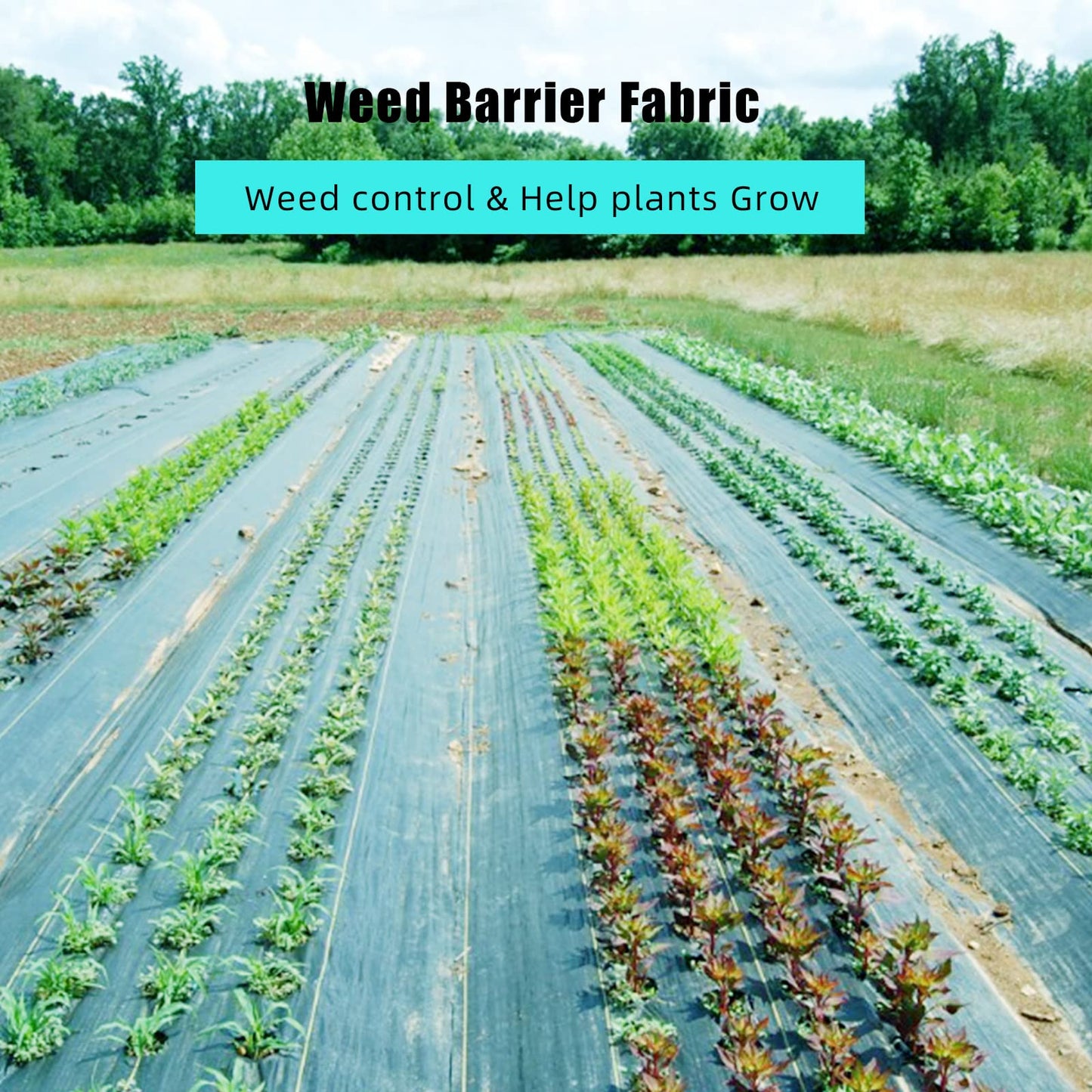 ExploreHorizon 3ft x 300ft Premium Weed Barrier Landscape Fabric, 3.24 oz Heavy Duty, Weed Control Fabric, High Permeability, Good for Flower Bed, Driveway Fabric and Ground Cover