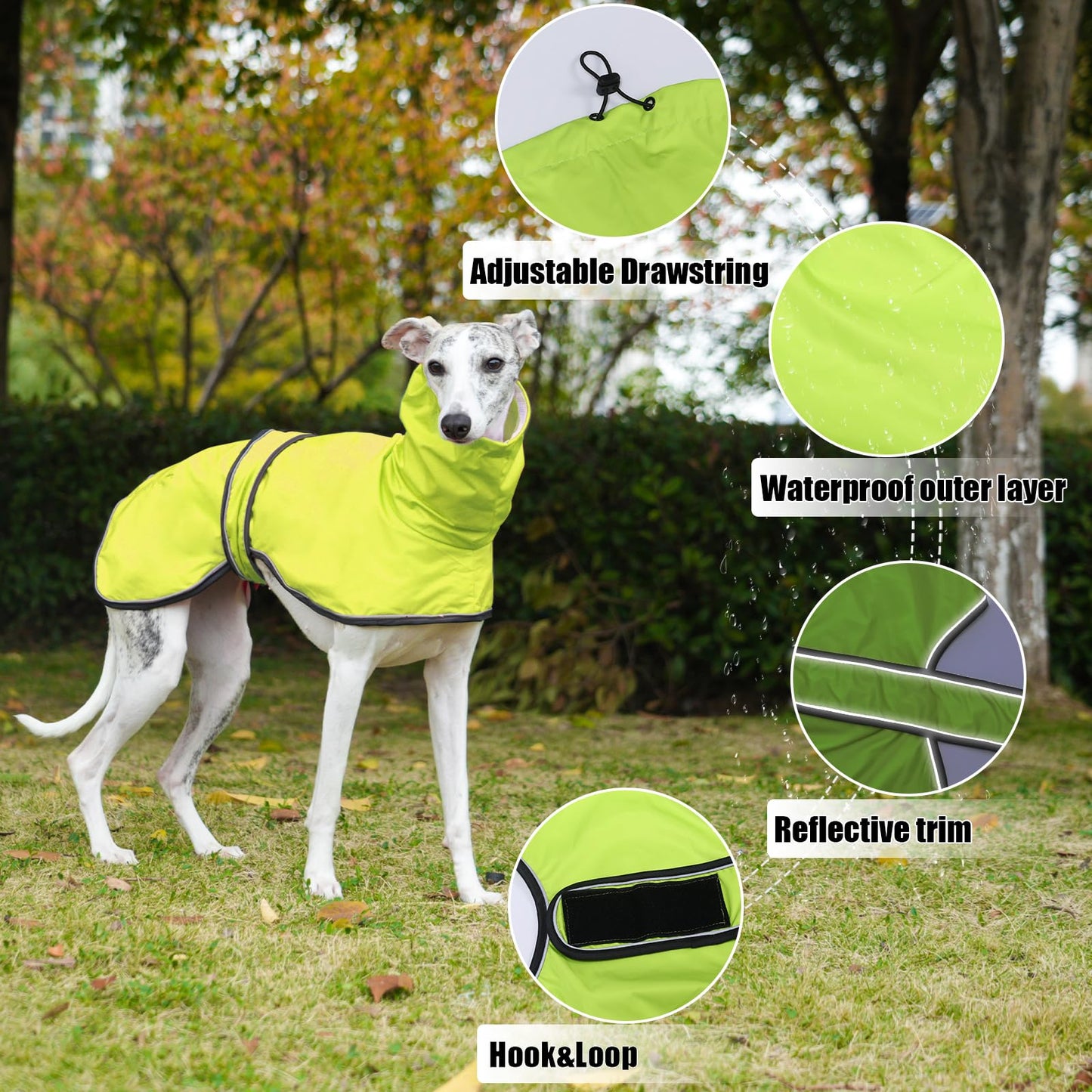 Geyecete Dog Jacket Adjustable Lightweight Raincoat with Reflective Straps and Harness Hole Best Gift for Greyhounds,Lurchers and Whippets-Green-XXL