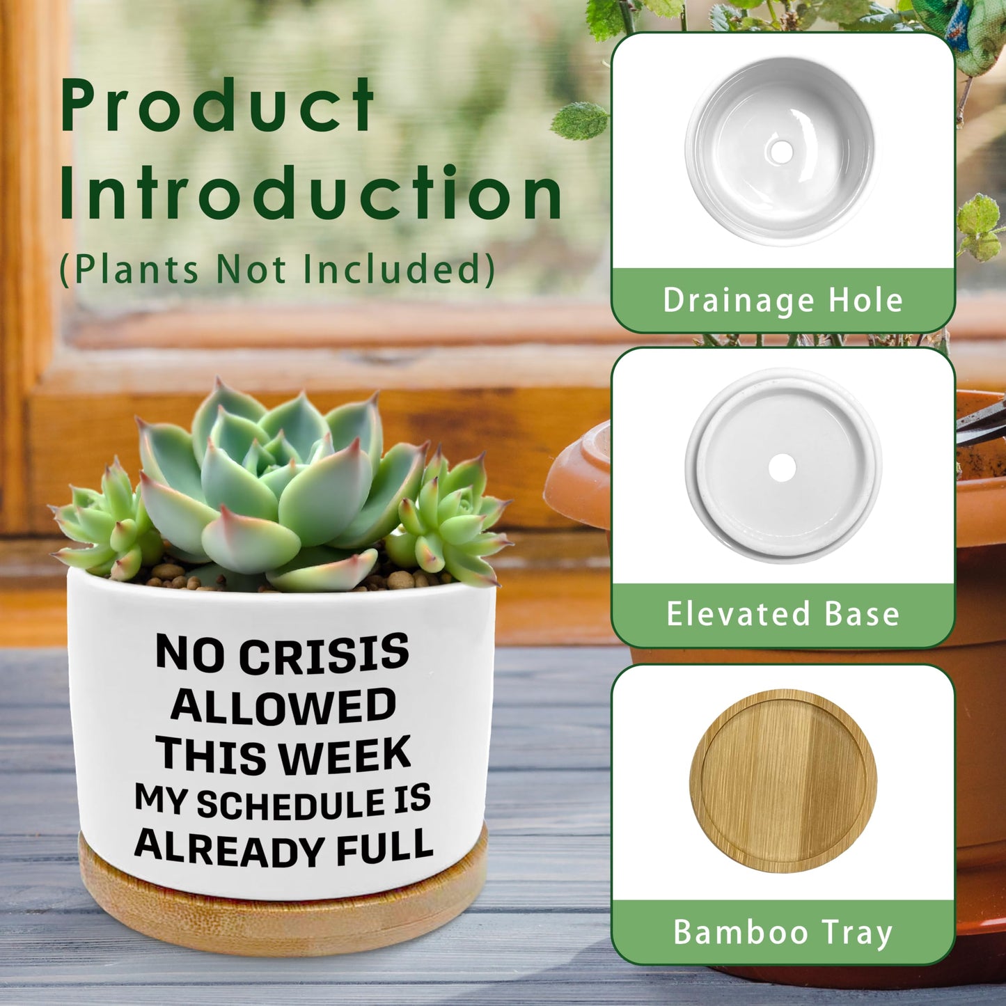 ROXMART Funny Office Gifts Plant Pots, Sarcastic Gifts for Women Men Coworker Boss Succulent Planters, No Crisis Allowed This Week Ceramic Plant Flower Pots for Home Office Desk Table Shelf(No Plants)