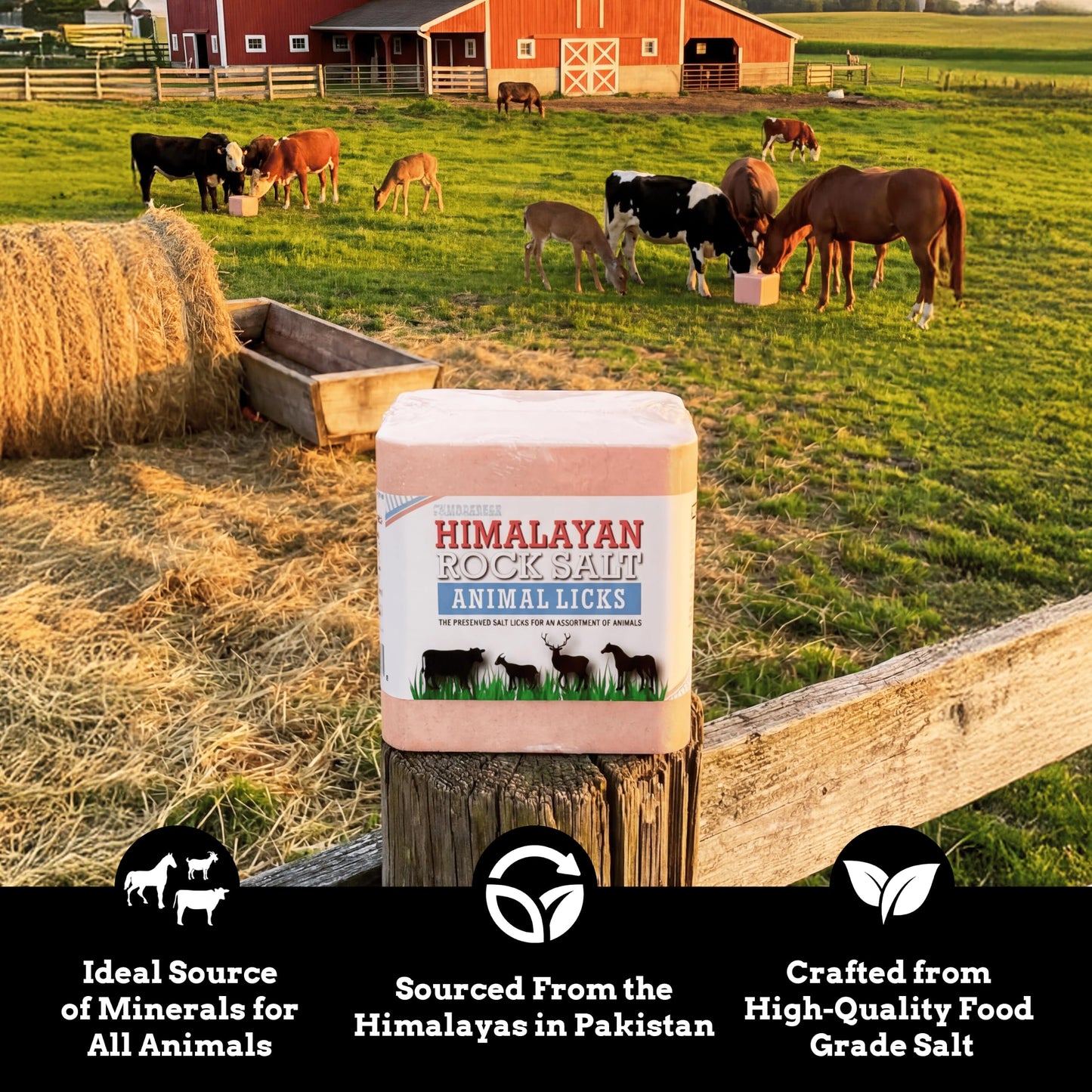 Salt Block for Deer & Horses – Compressed Mineral Salt Lick for Livestock, Cattle & Goats – Himalayan Secrets Pink Rock Salt Block (11LB/5KG, Block w/ Mounting Hole)