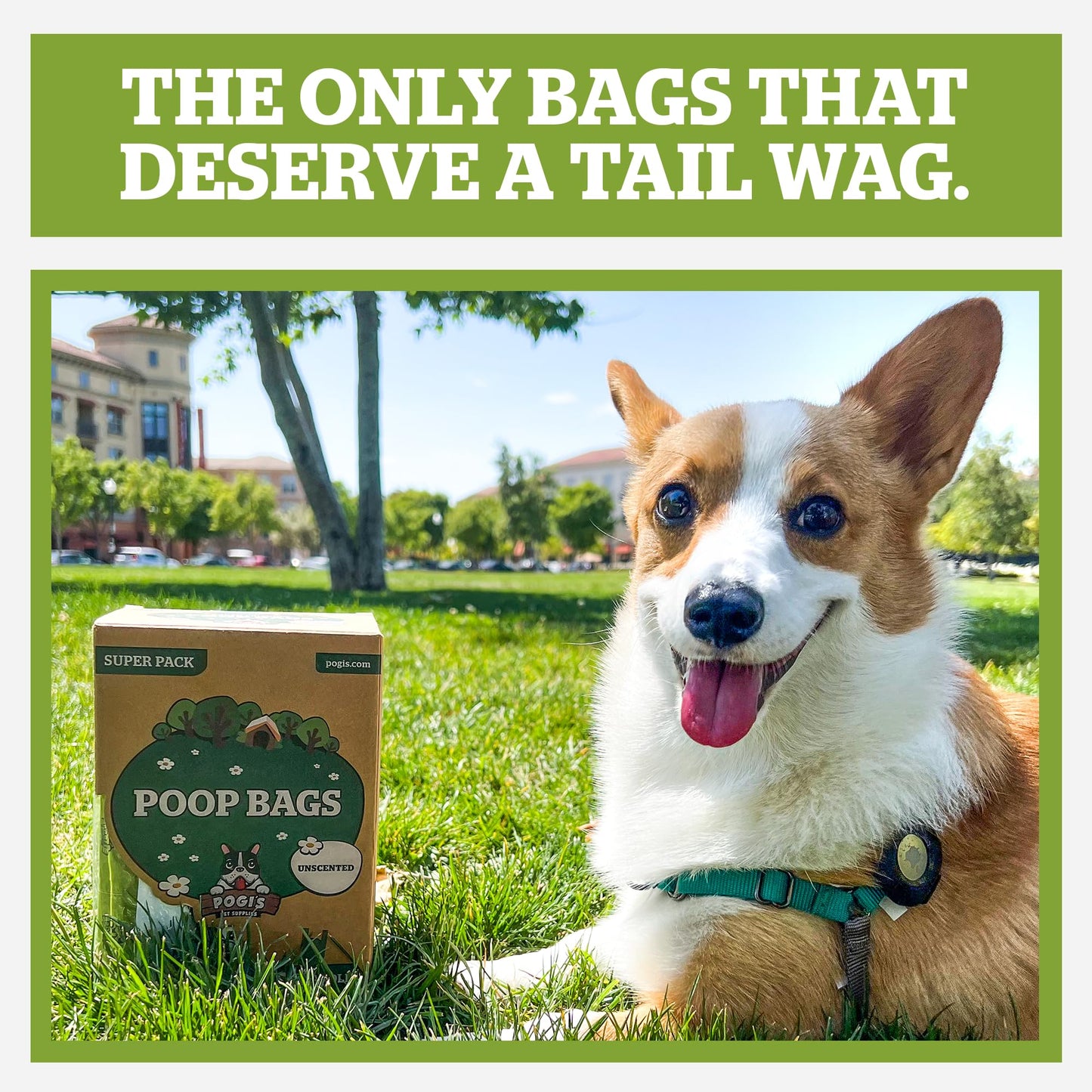 Pogi’s Dog Poo Bags with Handles – Extra Thick, Leak-Proof, Large, Fresh Scented, 300-Count