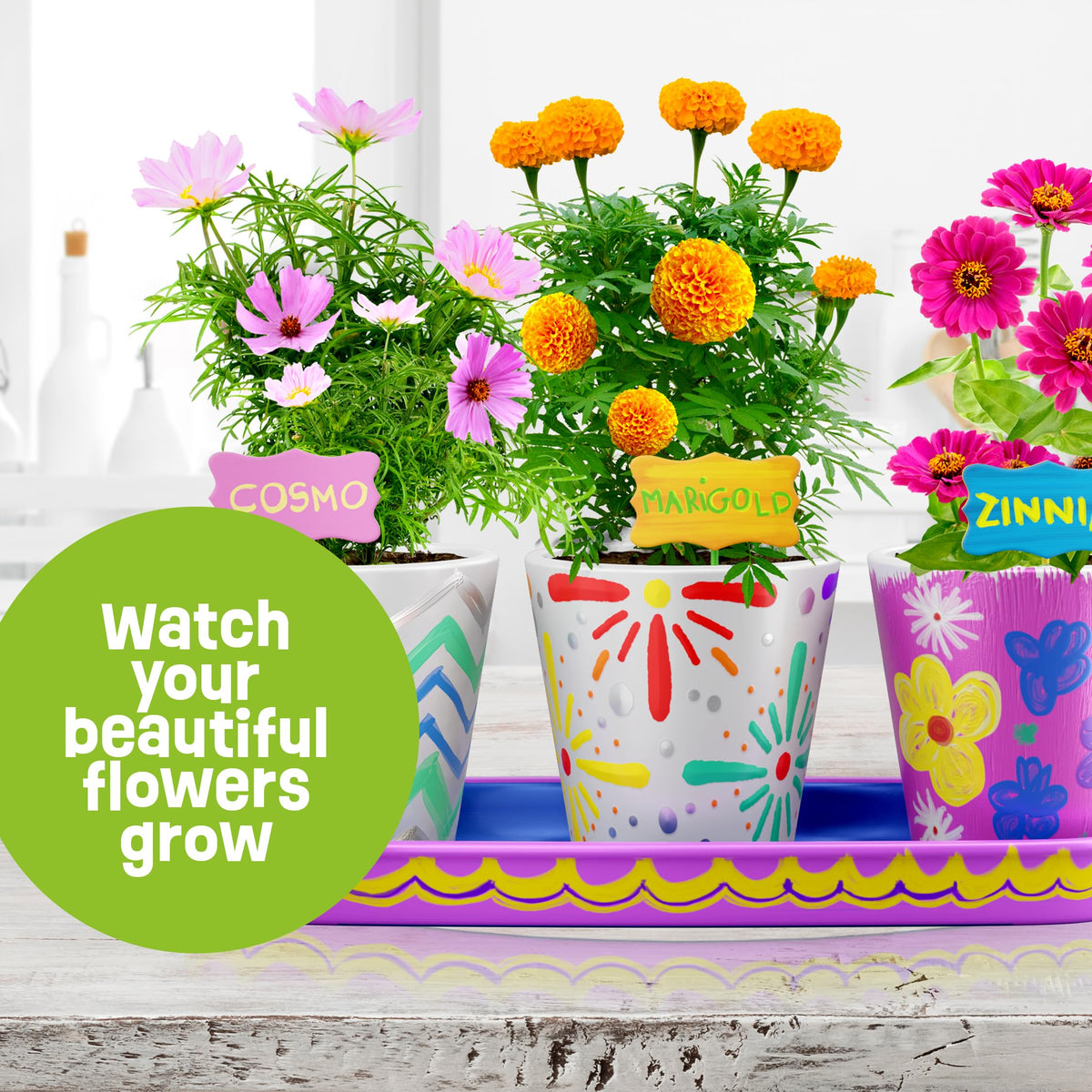 Dan&Darci Paint & Plant Stoneware Flower Gardening Kit - Gifts for Girls & Boys Ages 6-12 - Kids Arts & Crafts Project Birthday Gift, STEM Activity for Age 6, 7, 8, 9, 10, 11 & 12 Year Old Girl